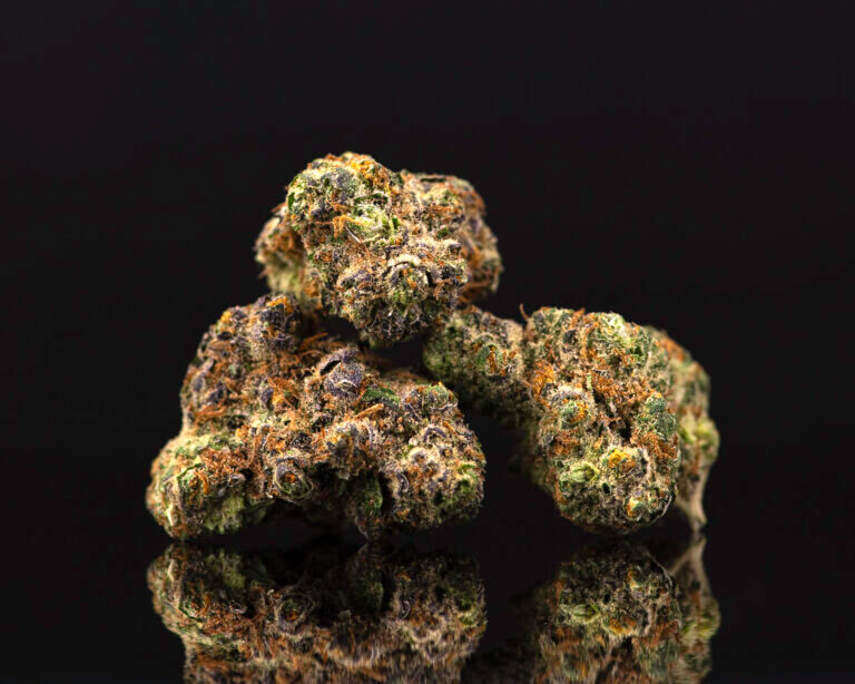 Verano cannabis products cultivate your curiosity